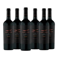 Kaiken Ultra Gran Reserva Malbec (6 Vinos)