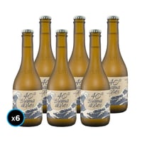 KIT LA MONTAÑA 40° BRAMADORES: 6x Cerveza La Montaña 40° Bramadores Pacific Ale 330cc