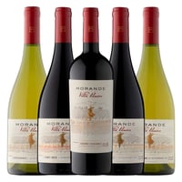 Mixta Morandé Vitis Unica