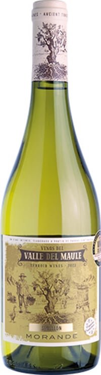 Morande Terroir Wines Semillon 2023