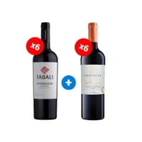 Pack 6 botellas Tabali Gran Reserva Pedregoso Carmenere + 6 botellas Chocalan Grand Cuvée Cabernet Sauvignon ($4.990 c/u)