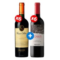 Pack 6 vinos Emiliana, Coyam  + 6 Casa Silva Gran Terroir de los Andes Carmenere ($9.990 c/u)