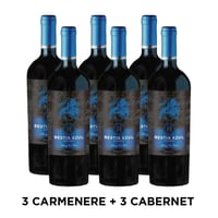 PACK BESTIA AZUL: 3x Vino Bestia Azul Carmenere 750cc + 3x Vino Bestia Azul Cabernet Sauvignon 750cc