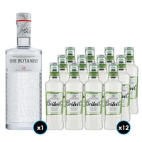 PACK BOTANIST + BRITVIC ELDERFLOWER: 1x Gin The Botanist (31 BOTANICOS - 22 ENDEMICOS DE ISLAY) 700cc 46º alc. + 12x Britvic Agua Tónica Elderflower 200cc