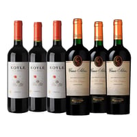 Pack Casa Silva Gran Terroir Carmenere & Koyle Gran Reserva Carmenere