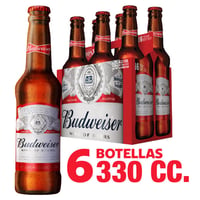 Pack Cerveza Budweiser botella 6 un de 330 cc