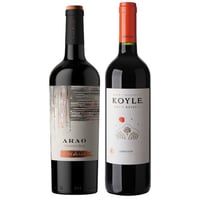 PACK CLOS DE LUZ N°3: 1x Vino Clos de Luz Arao Carmenere Blend Gran Reserva 750cc + 1x Vino Koyle Gran Reserva Carmenere 750cc