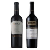 PACK DUO QUEULAT SANTA EMA: Vino Ventisquero Queulat Gran Reserva Carmenere 750cc + Vino Santa Ema Gran Reserva Merlot 750cc