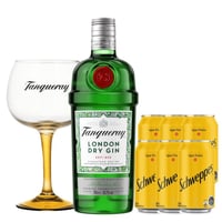 Pack Gin Tanqueray + 6 Schweppes + Copa