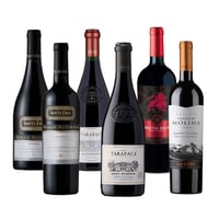 PACK GRAN RESERVA Nº3: Vino Santa Ema Gran Reserva Syrah 750cc + Vino Santa Ema Gran Reserva Malbec 750cc + Vino Tarapacá Gran Reserva Cabernet Sauvignon 750cc + Vino Tarapacá Gran Reserva Carmenere 750cc + Vino Bestia Roja Gran Reserva Cabernet Sauvignon
