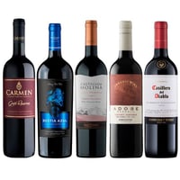 PACK MIX CABERNET N°2: 1x Vino Carmen Gran Reserva Cabernet Sauvignon 750cc + 1x Vino Bestia Azul Cabernet Sauvignon 750cc + 1x Vino Castillo de Molina Gran Reserva Cabernet Sauvignon 750cc + 1x Vino Orgánico Adobe Reserva Cabernet Sauvignon 750cc + 1x Vi
