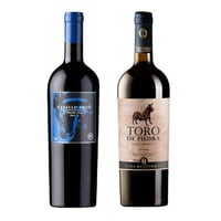PACK NOBLEZA CHILENA: 1x Vino Toro de Piedra Gran Reserva Carmenere 750cc + 1x Vino Caballo Loco Grand Cru Apalta 750cc