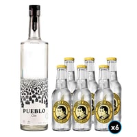 PACK PUEBLO N°2: 1x Gin Pueblo 750cc + 6x Thomas Henry Agua Tónica 200cc