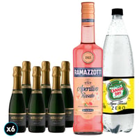 Pack Spritz Ramazzotti - Viñamar: 6x Viñamar Charmat Brut Botella 375cc + Agua Tónica Canada Dry Zero 1,5lt + Ramazzotti Rosatto 700cc