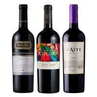PACK TRIO CARMENERE GR: Vino 7 Colores GR Carmenere + Vino Caiti GR Carmenere + Vino Santa Ema GR Carmenere