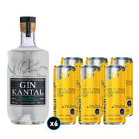 PACK TROPICAL GIN N°2: 6x Bebida Energética Red Bull Yellow Edition en Lata 250cc + 1x Gin Kantal 750cc 43º alc.