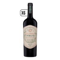 Pack Vino 6x Caliterra Tributo Malbec 750cc