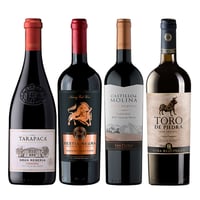 PACK VINOS GRAN RESERVA Nº5: Tarapacá Gran Reserva Carmenere 750cc + Castillo de Molina Carmenere 750cc + Toro de Piedra Cabernet Sauvignon 750cc + Bestia Negra Cabernet Sauvignon 750cc