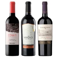 PACK VINOS PREMIUM Nº2: COYAM 750cc + Ventisquero Vertice 750cc + Terrunyo Carmenere 750cc