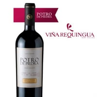 Potro De Piedra De Viña Requingua