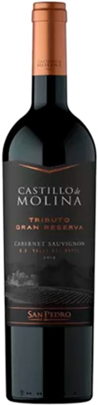 San Pedro Castillo De Molina Tributo Gran Reserva Cabernet Sauvignon 2021
