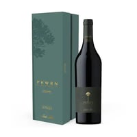 Santa Rita Pewen Carmenere