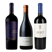 TRIO SAN PEDRO - NEYEN - BAUZA: 1x Vino San Pedro Tierras Moradas Carmenere 750cc + 1x Vino Ícono Neyen de Apalta Blend 750cc + 1x Vino Ícono Casa Bauzá Isabel 750cc