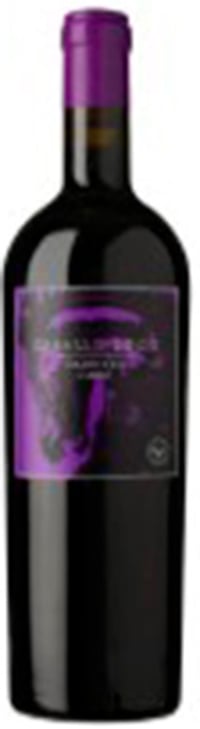 Valdivieso Caballo Loco Grand Cru Curico 2023