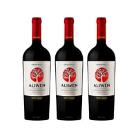 Vino Aliwen Cabernet Sauvignon Botella 750cc X3