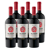 Vino Aliwen Cabernet Sauvignon Botella 750cc X6