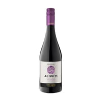 Vino Aliwen Pinot Noir Botella 750cc