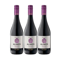 Vino Aliwen Pinot Noir Botella 750cc X3