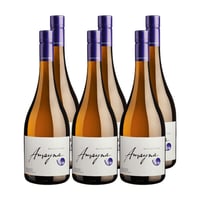 Vino Amayna Sauvignon Blanc x6 ($9.490 c/u)