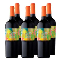 Vino Anka Blend 750cc x6 ($14.590 c/u)