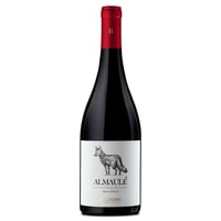 Vino Balduzzi Almaule País 750cc