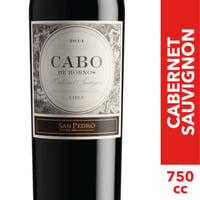 Vino Cabo de Hornos - Cabernet Sauvignon - 750ml