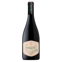 Vino Caliterra Tributo Shiraz 750cc