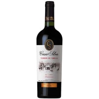 Vino Casa Silva Terroir de Fam Rsva Carmenere 750cc