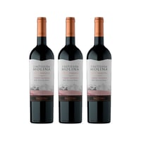Vino Castillo De Molina Gran Reserva Cabernet Sauvignon Botella 750cc X3
