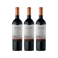 Vino Castillo De Molina Gran Reserva Carmenere 750 Cc X3