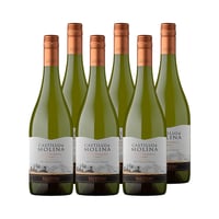 Vino Castillo De Molina Gran Reserva Chardonnay 750cc X6