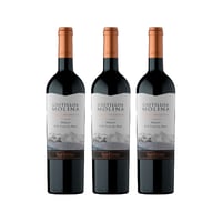 Vino Castillo De Molina Gran Reserva Merlot Botella 750cc X3