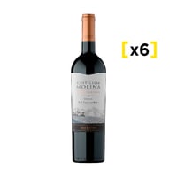 Vino Castillo De Molina Gran Reserva Merlot Botella 750cc X6