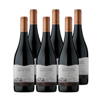 Vino Castillo De Molina Gran Reserva Syrah 750cc X6