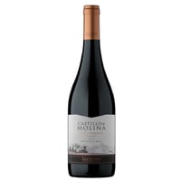 Vino Castillo de Molina Gran Rsva Syrah 750cc