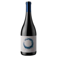 Vino Clos de Luz Azuda Syrah 750cc 