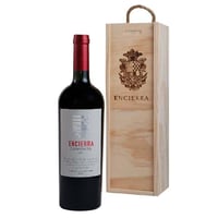 Vino Encierra Carmenere 2019 Botella 750cc