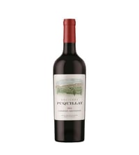 Vino Encierra Puquillay Cabernet Sauvignon 2021 Botella 750cc