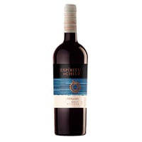 Vino Espíritu de Chile Reserva Merlot 750 cc