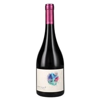 Vino Garcés Silva Amayna Garden Blend 750cc